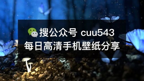 我才做个梦给你 梦见与你相遇,只有梦里才能与你相遇