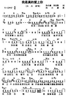 我是真的爱上你表达什么意思，王杰人我是真的爱上你歌词