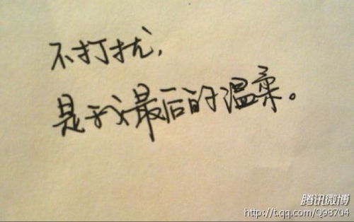 我是不是该安静的离开的歌词,我是不是该安静走开歌词意思